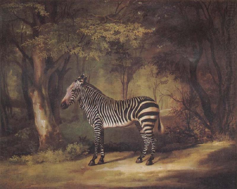 A Zebra, George Stubbs